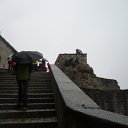 tor (14)
